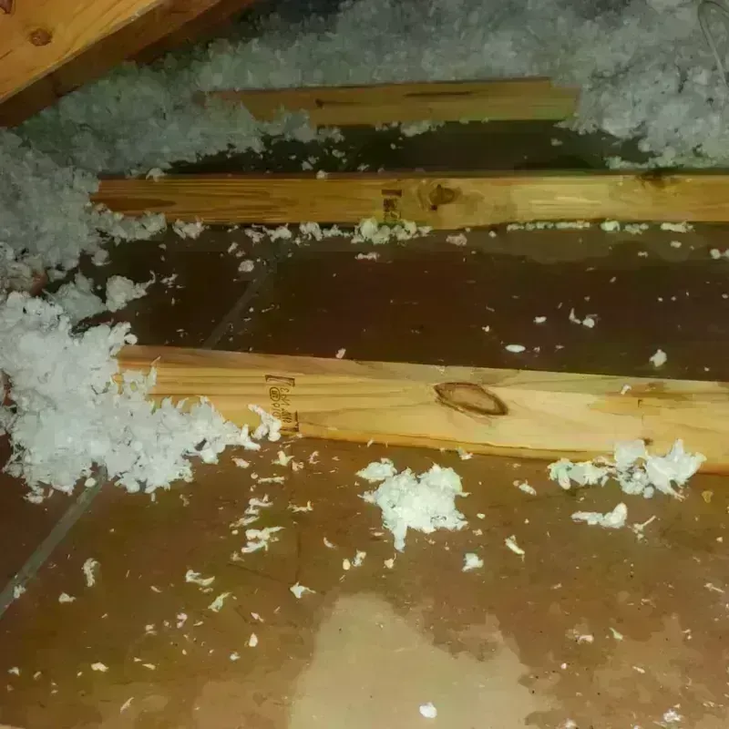 Attic Water Damage in Vandalia, MO